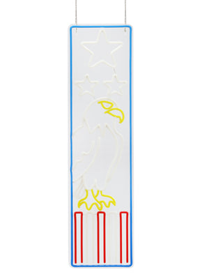 32inch American Neon Porch Sign - Eagel