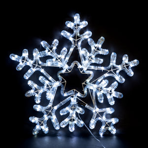 Commercial LED 20" Snowflake.168 WW LEDs with 10% Flashing,White Iron. Outdoor,16.4' lead wire. IP44. UL Adapter. 20".