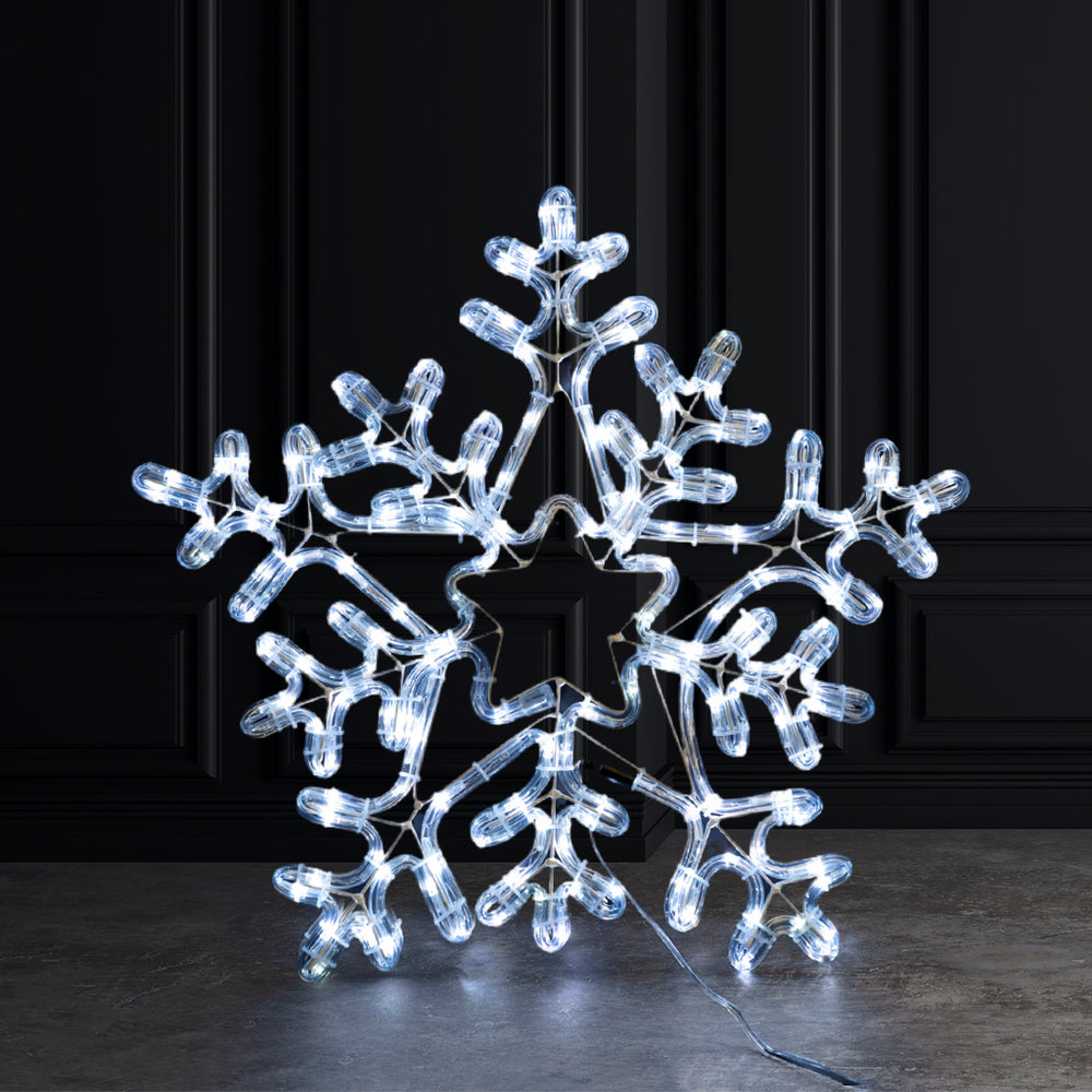 Commercial LED 20" Snowflake.168 WW LEDs with 10% Flashing,White Iron. Outdoor,16.4' lead wire. IP44. UL Adapter. 20".