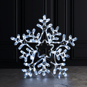 Commercial LED 20" Snowflake.168 WW LEDs with 10% Flashing,White Iron. Outdoor,16.4' lead wire. IP44. UL Adapter. 20".