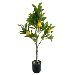 Lemon Tree with Uplights. 32.7in H