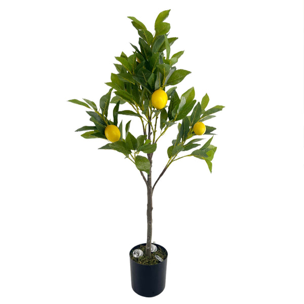 Lemon Tree with Uplights. 32.7in H