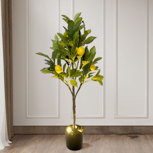 Lemon Tree with Uplights. 32.7in H