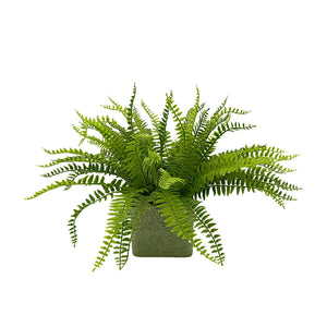 Candlelit Pot Sword Fern with Candle Holder. 16in