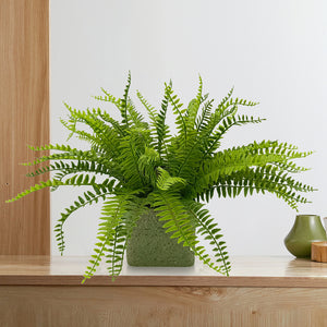 Candlelit Pot Sword Fern with Candle Holder. 16in