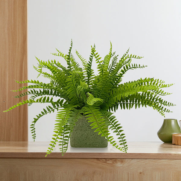 Candlelit Pot Sword Fern with Candle Holder. 16in