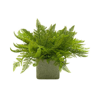 Candlelit Pot Lace Fern with Candle Holder. 16in