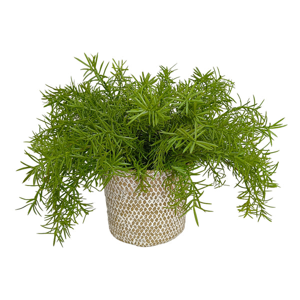 Candlelit Seagrass Basket Asplenium Fern with Candle Holder. 18in