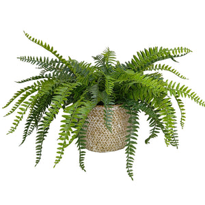 Candlelit Seagrass Basket Sword Fern with Candle Holder. 18in