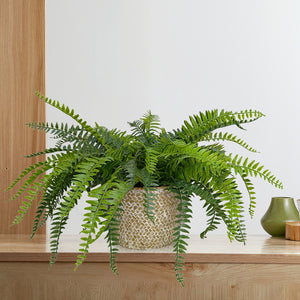 Candlelit Seagrass Basket Sword Fern with Candle Holder. 18in