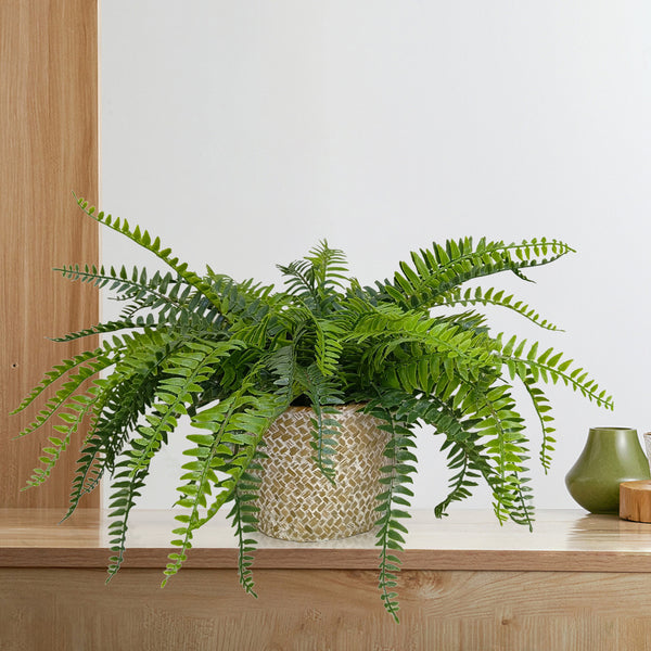 Candlelit Seagrass Basket Sword Fern with Candle Holder. 18in