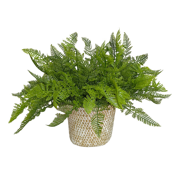 Candlelit Seagrass Basket Lace Fern with Candle Holder. 18in