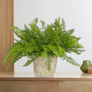 Candlelit Seagrass Basket Lace Fern with Candle Holder. 18in