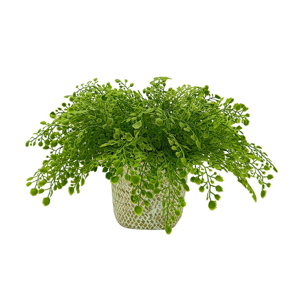 Candlelit Seagrass Basket Maidenhair Fern with Candle Holder. 18in