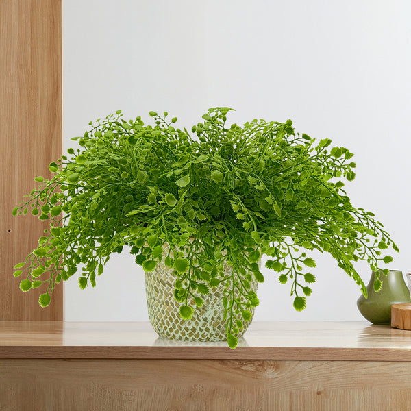 Candlelit Seagrass Basket Maidenhair Fern with Candle Holder. 18in
