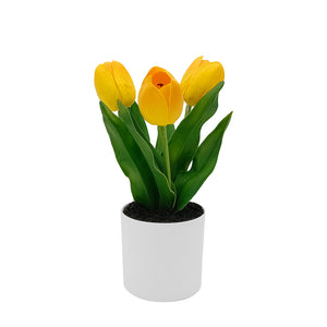 Yellow Tulips with Lights in PE Pot.