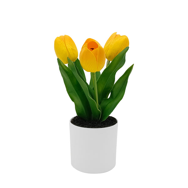Yellow Tulips with Lights in PE Pot.