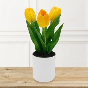 Yellow Tulips with Lights in PE Pot.