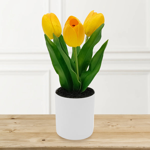 Yellow Tulips with Lights in PE Pot.
