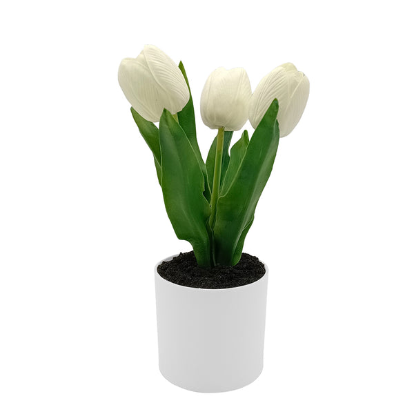 White Tulips with Lights in PE Pot.