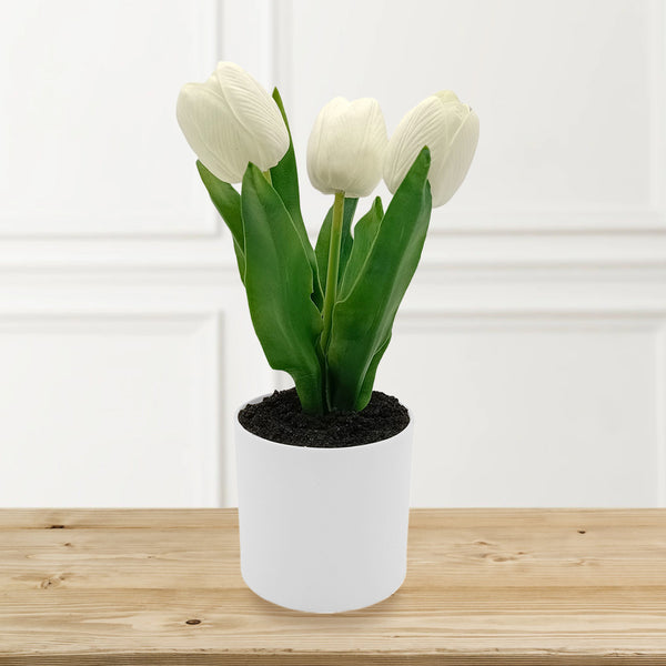 White Tulips with Lights in PE Pot.