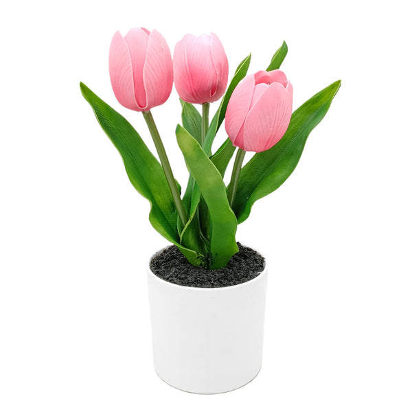Pink Tulips with Lights in PE Pot.