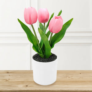 Pink Tulips with Lights in PE Pot.