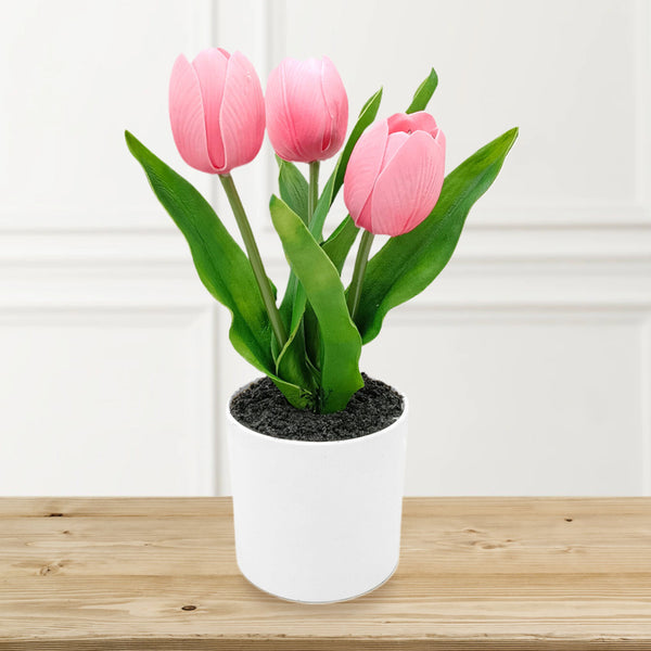 Pink Tulips with Lights in PE Pot.