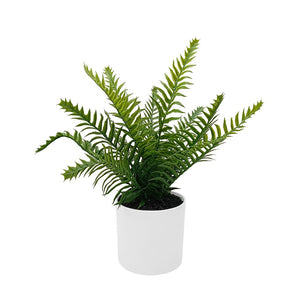 Fern in White PE Pot. LEDs.