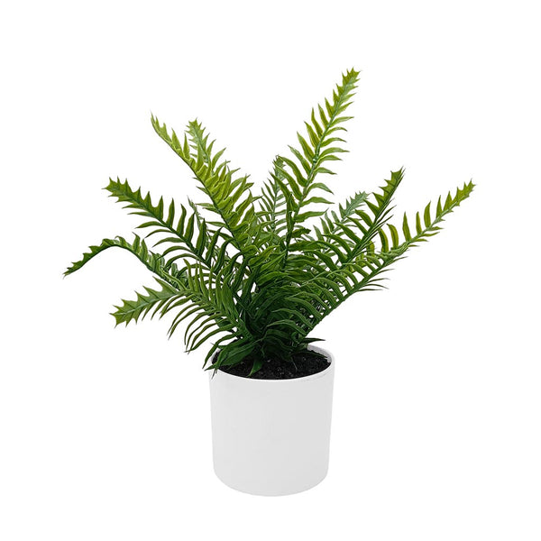 Fern in White PE Pot. LEDs.