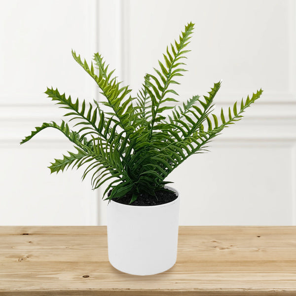 Fern in White PE Pot. LEDs.